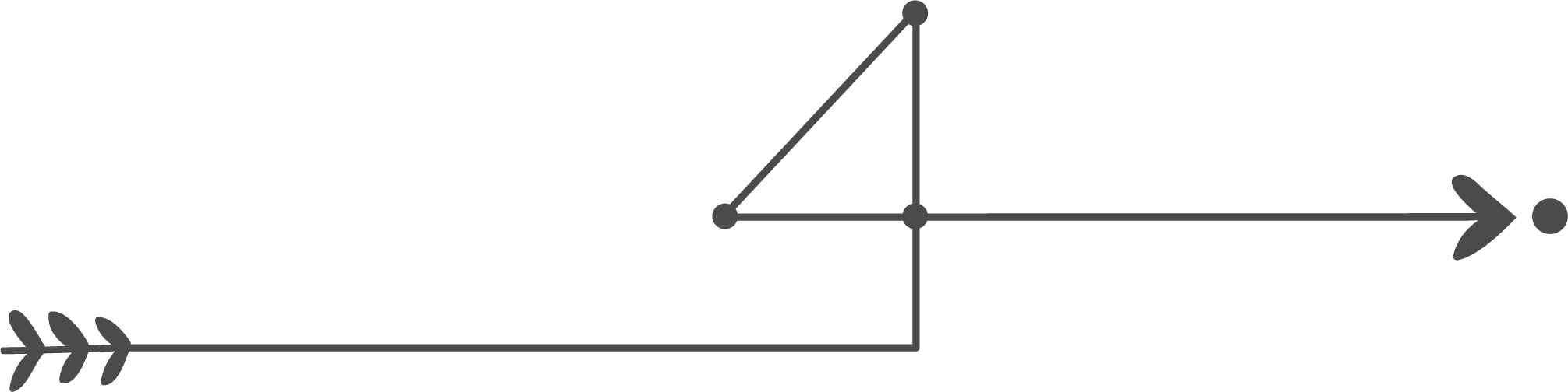 Seta - Marcelle Bortoli Photography